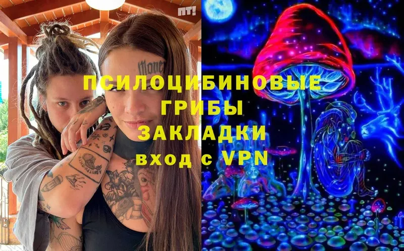 Галлюциногенные грибы Cubensis  Мытищи 